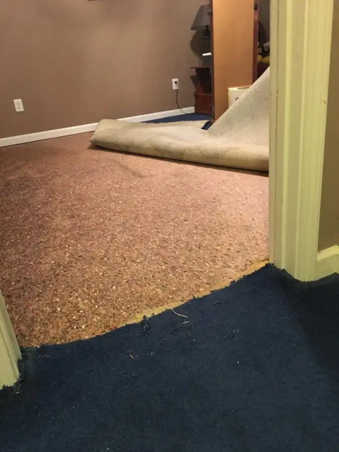 Carpet pad removal revealing water damage during Drying & Dehumidification in Goshen